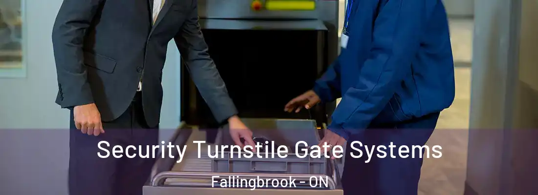  Security Turnstile Gate Systems Fallingbrook - ON