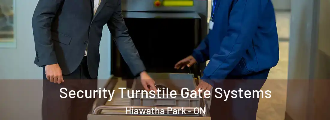  Security Turnstile Gate Systems Hiawatha Park - ON