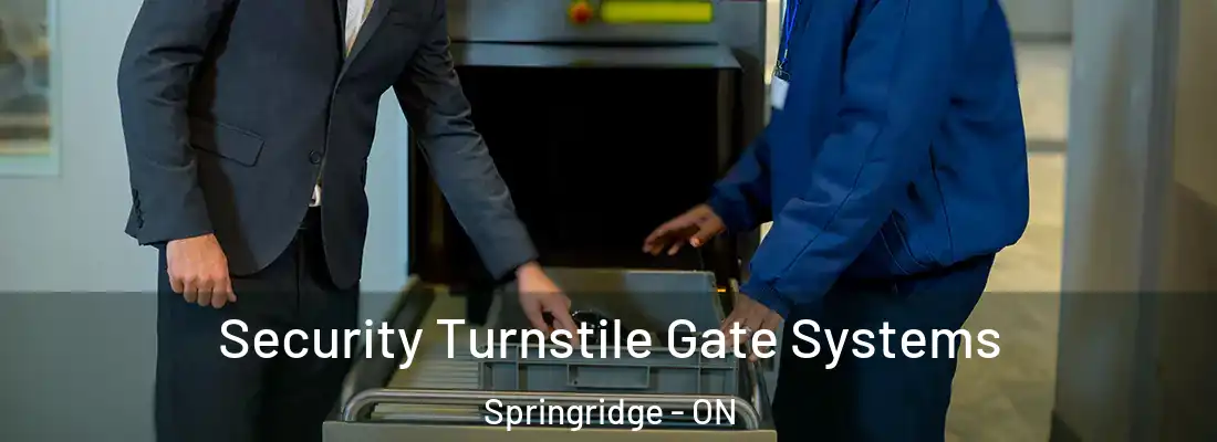  Security Turnstile Gate Systems Springridge - ON