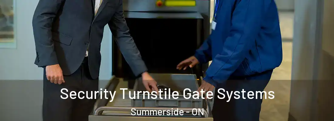  Security Turnstile Gate Systems Summerside - ON