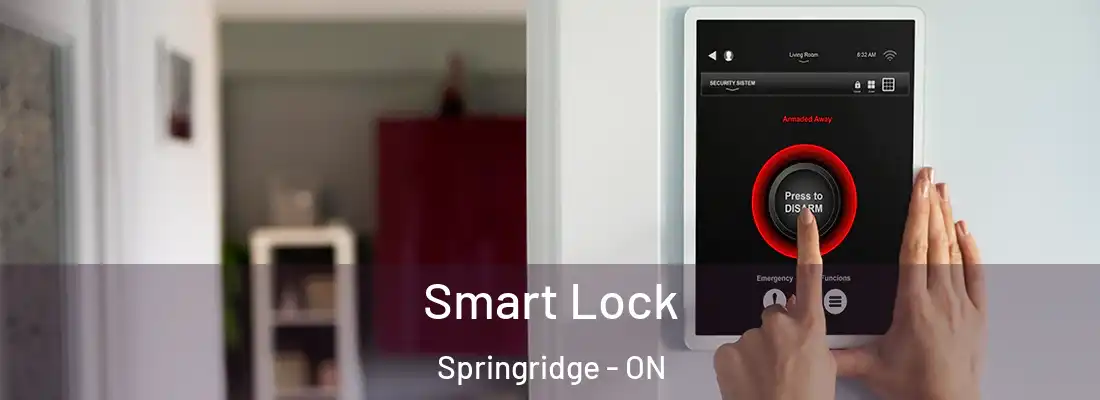  Smart Lock Springridge - ON