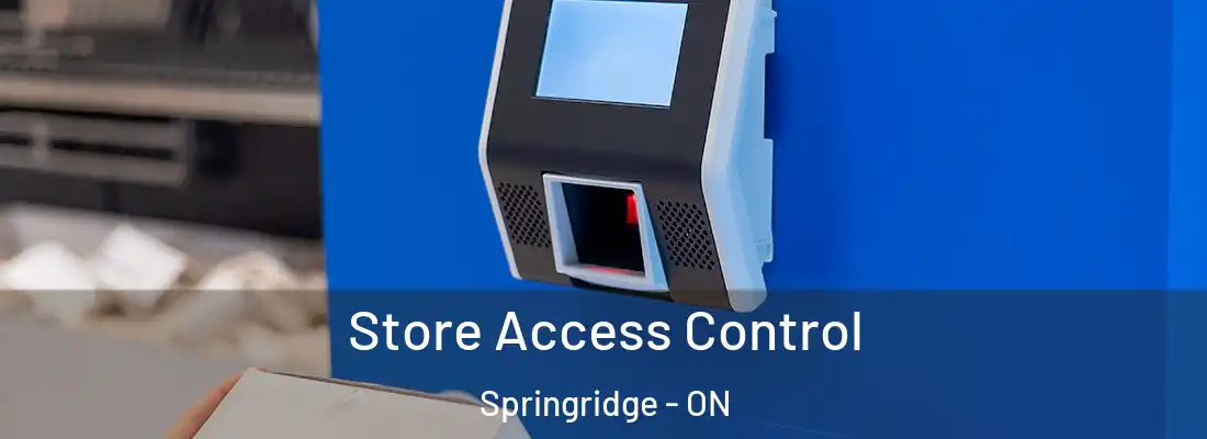  Store Access Control Springridge - ON
