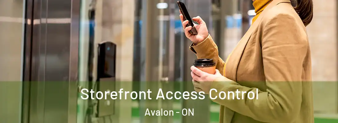  Storefront Access Control Avalon - ON