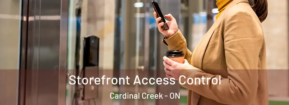 Storefront Access Control Cardinal Creek - ON