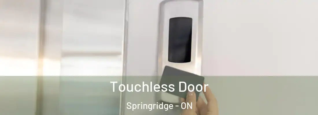  Touchless Door Springridge - ON