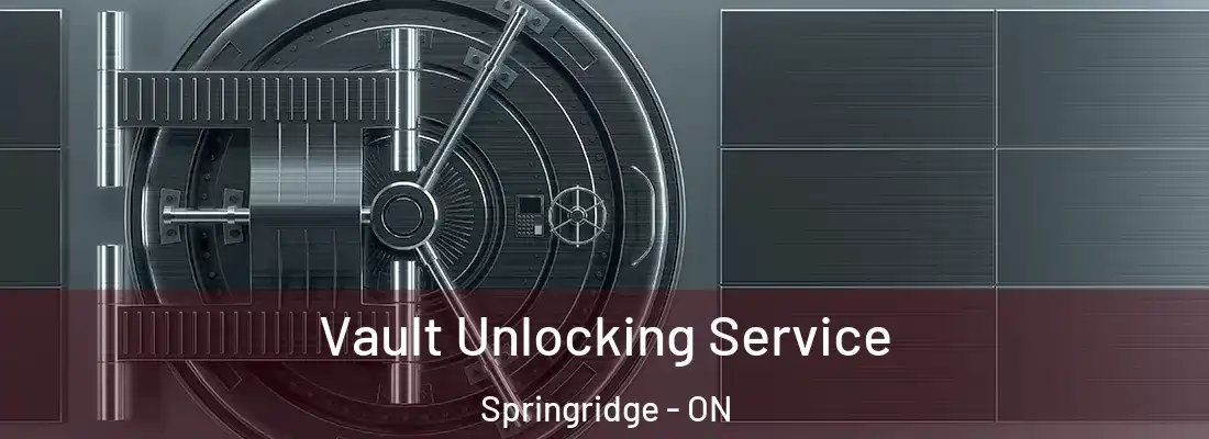  Vault Unlocking Service Springridge - ON