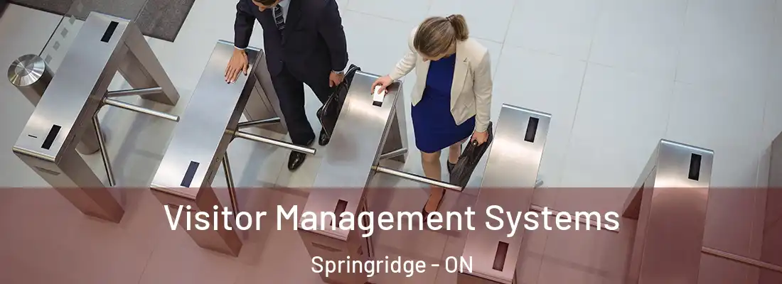  Visitor Management Systems Springridge - ON