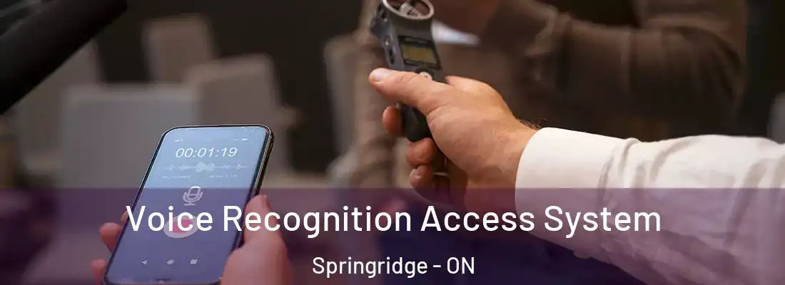  Voice Recognition Access System Springridge - ON