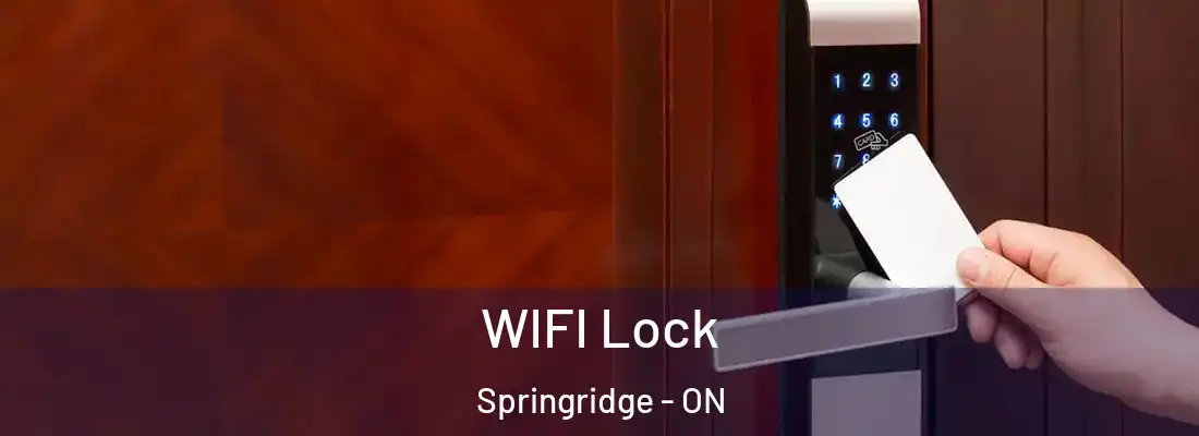  WIFI Lock Springridge - ON